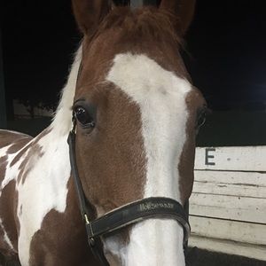 Meet your Posher, Eilynn